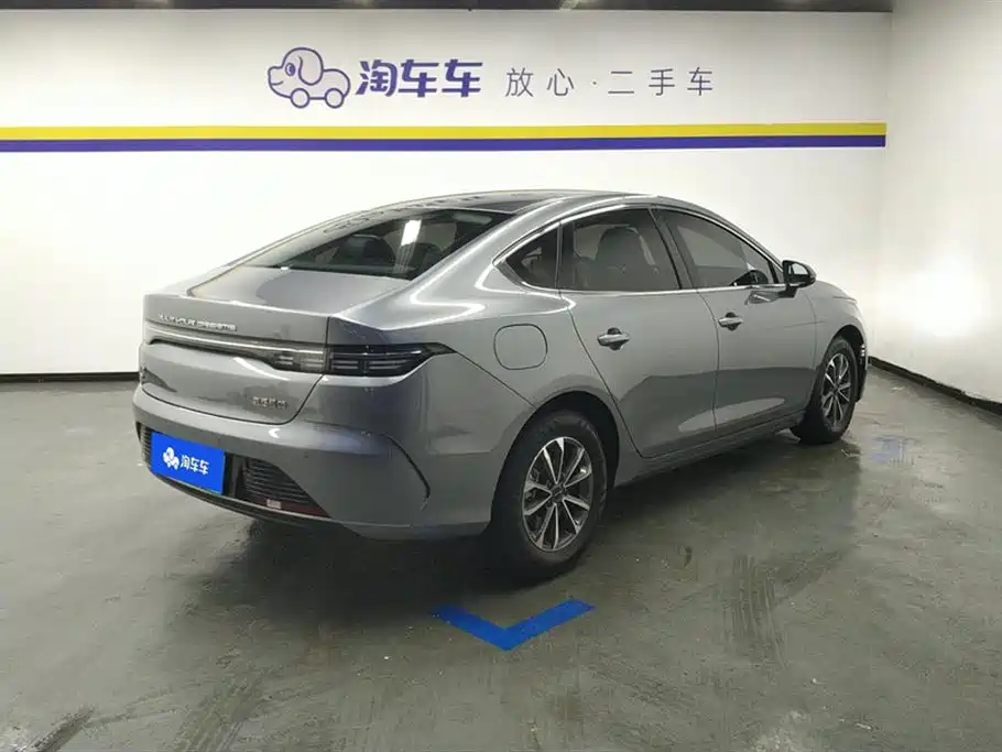 BYD Destroyer 05 2024 Glory Edition DM-i 55KM Luxury фото 3