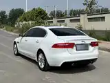 صورة 7 - Jaguar XEL