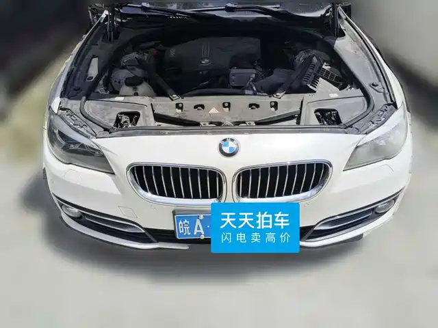 BMW 5 Series 2014 525Li Luxury Design Package — фото 3