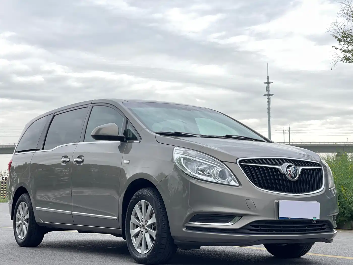 Buick GL8 2017 25S Luxury China V фото 3