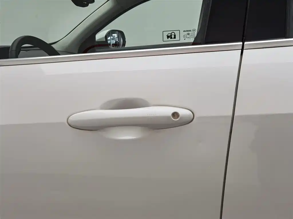 Haval H6 2019 1.5GDIT Automatic Champion Edition China VI фото 18