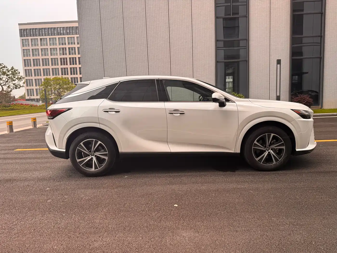 Lexus RX 2025 300 4WD Premium Edition фото 3
