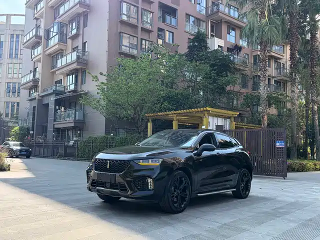 WEI PAI WEI BRAND VV7