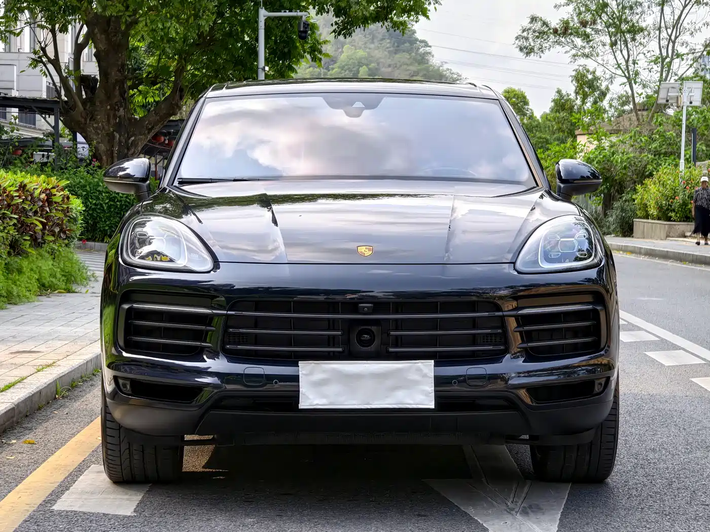 Porsche Cayenne 2022 Cayenne 3.0T Platinum Edition фото 2