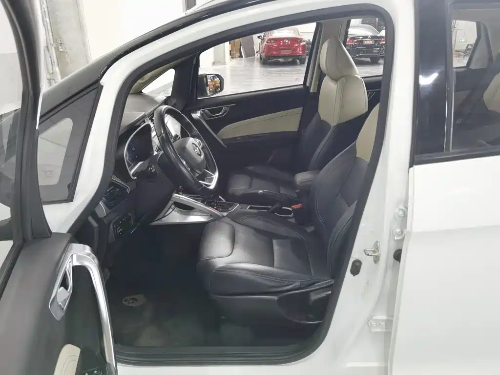 Ruilan Auto Maple 30X 2020 2020 Elegance Edition