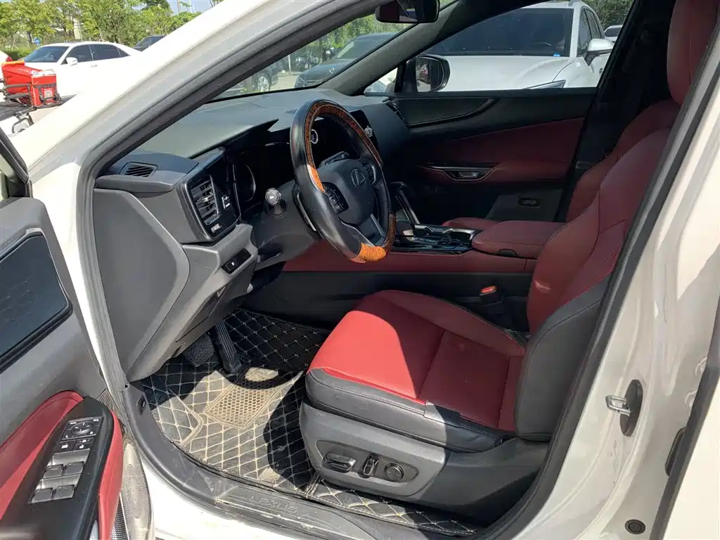 Lexus NX 2023 2022 260 FWD Joy Creation Edition