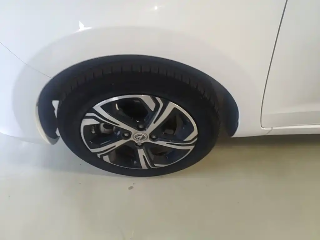 Changan Benben E-Star 2020 2020 Heartbeat Edition (NMC Battery)