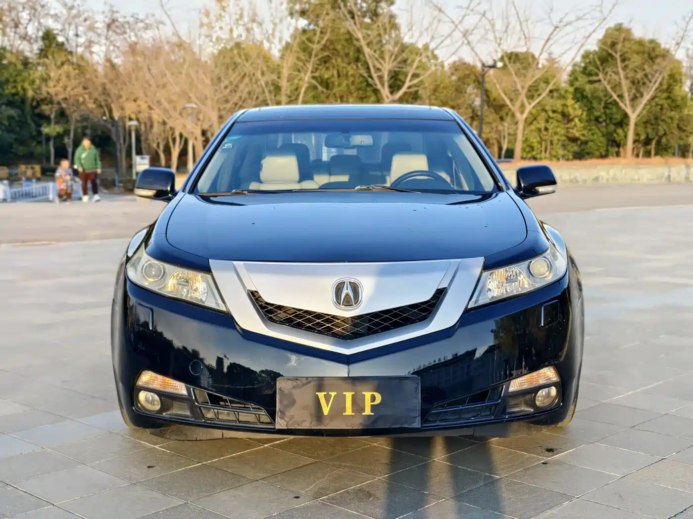 Acura TL 2010 3.5 Premium Edition фото 2