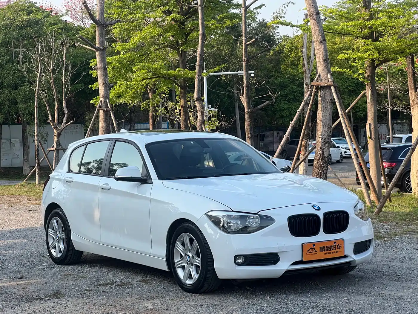 BMW 1 Series (Import) 2013 Facelift 116i Leading Model фото 3