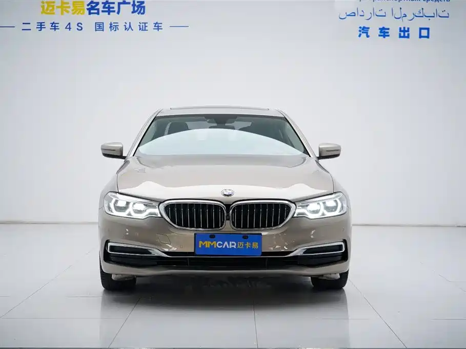 BMW 5 Series 2019 Facelift 530Li Premium Luxury Package фото 11