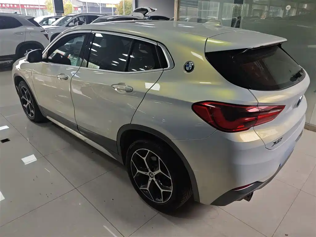 BMW X2 (Import) 2019 sDrive20i M Off-Road Package China VI фото 23
