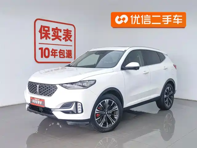 WEI PAI WEI BRAND VV6