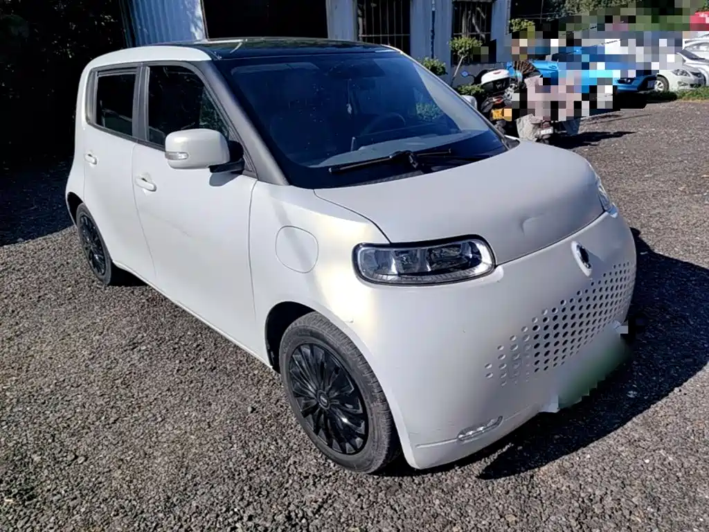 Ora White Cat 2020 2020 360km Luxury Model