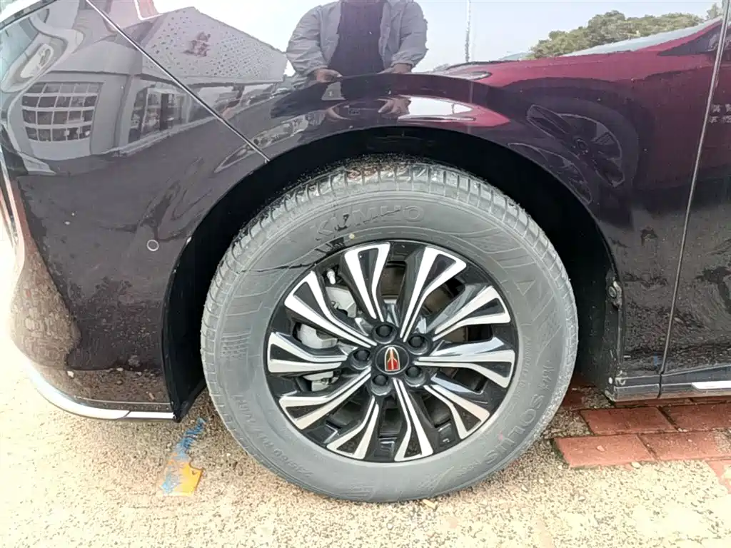 Hongqi HQ9 PHEV 2024 Model 2.0T AWD Luxury Edition фото 23