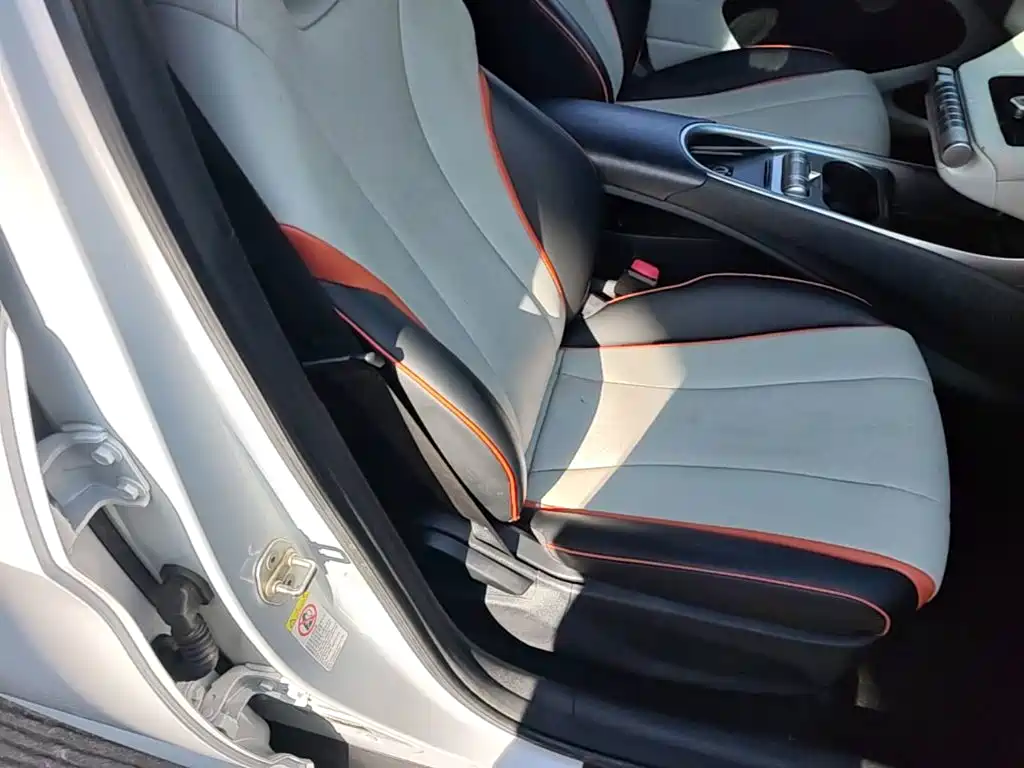 BYD Dolphin 2021 2021 Model 405km Fashion Edition