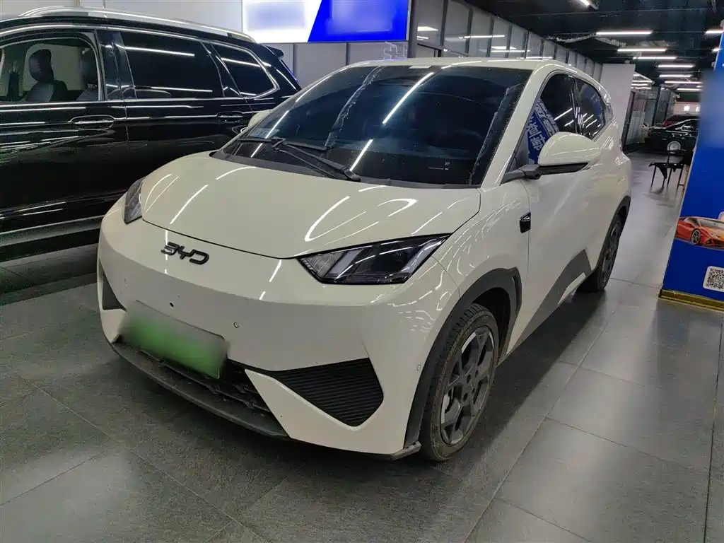 BYD Seagull 2025 Smart Drive Edition 305km Freedom Version