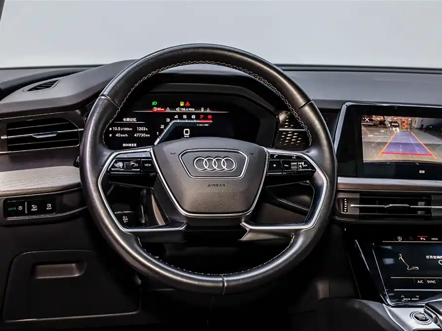 Audi Q6 2024 40 TFSI quattro Cloud View Yulin Package 7-seater фото 23