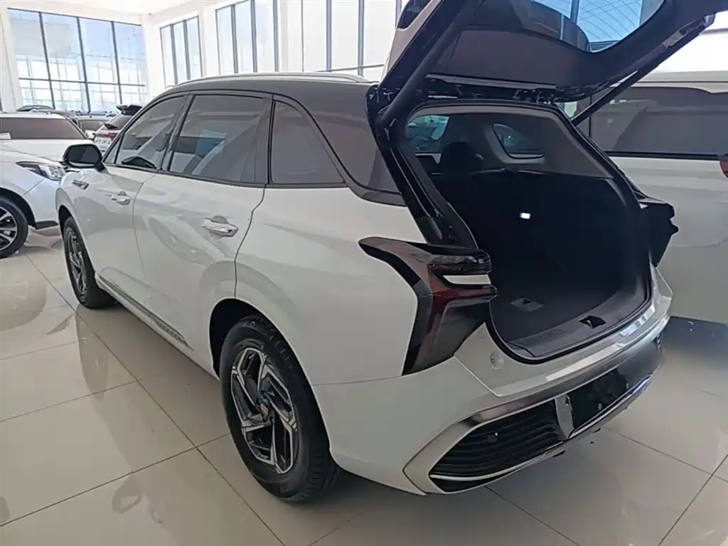 Hongqi HS3 2023 1.5T 2WD Virtue Edition фото 5