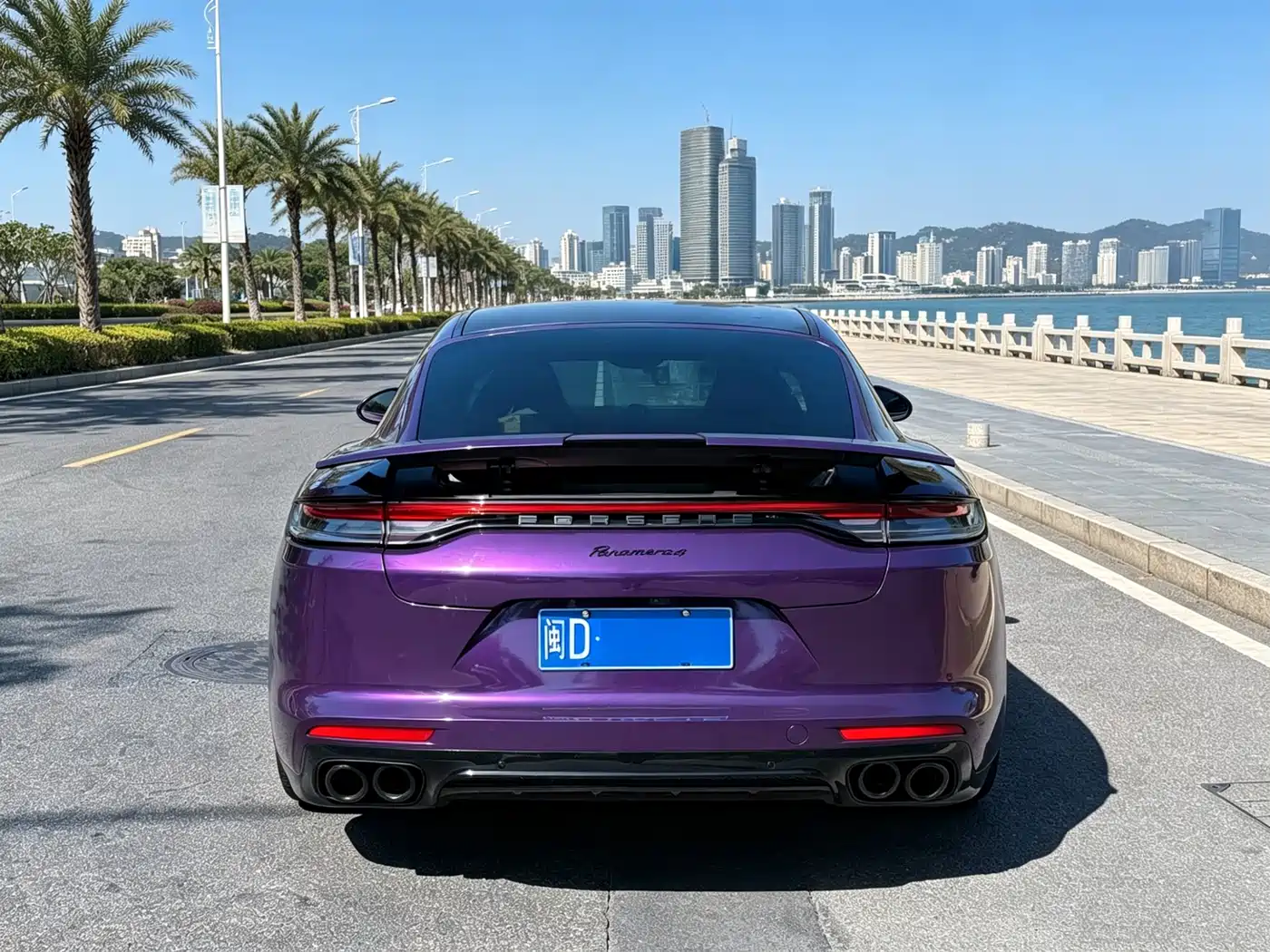 Porsche Panamera 2010 Panamera 3.6L фото 8