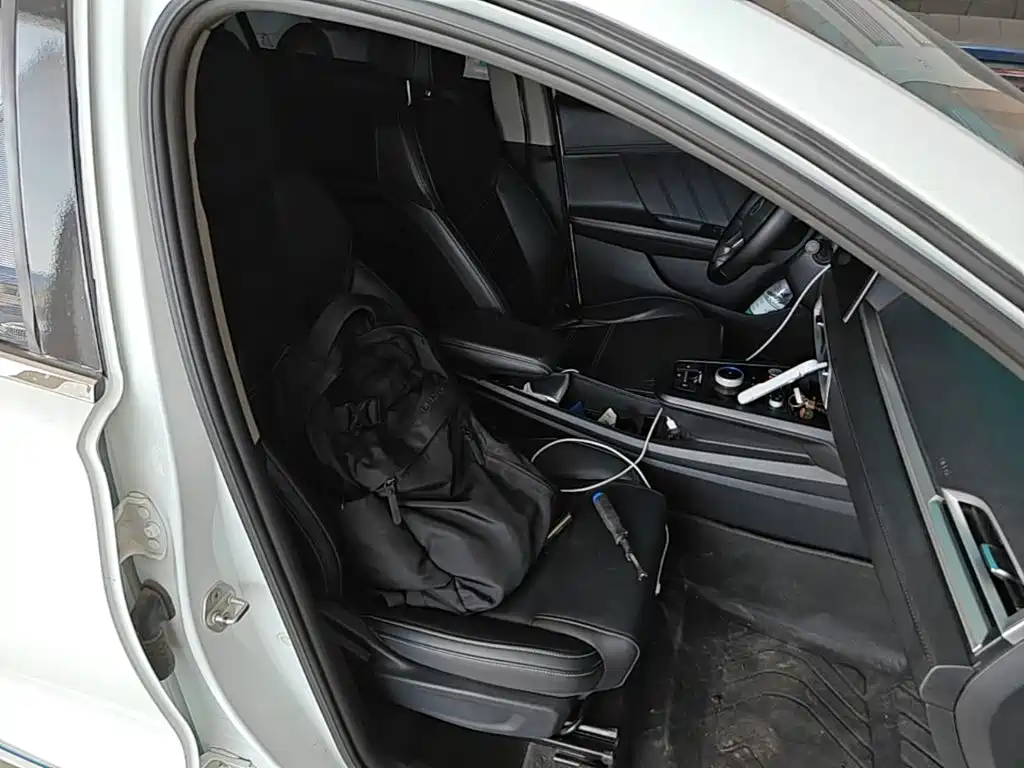 BYD e2 2019 2019 Long Range Yao·Luxury Model