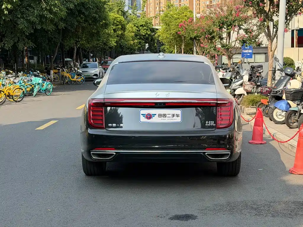 صورة 5 - Hongqi H9