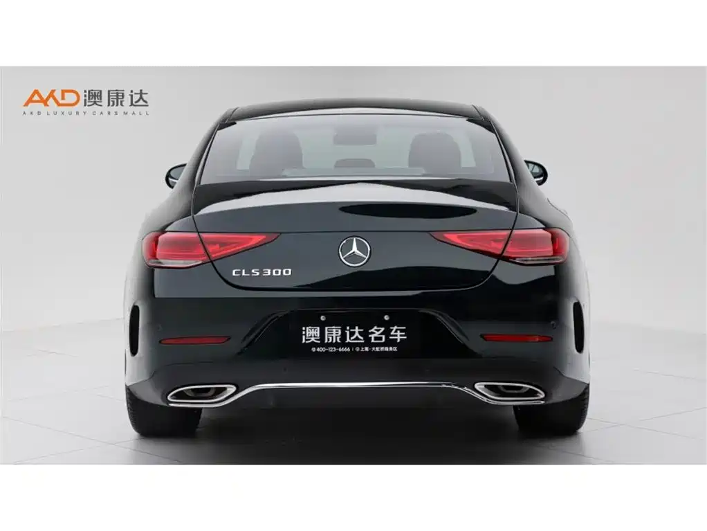 Mercedes-Benz CLS 2023 2023 Model CLS 300 Luxury Version