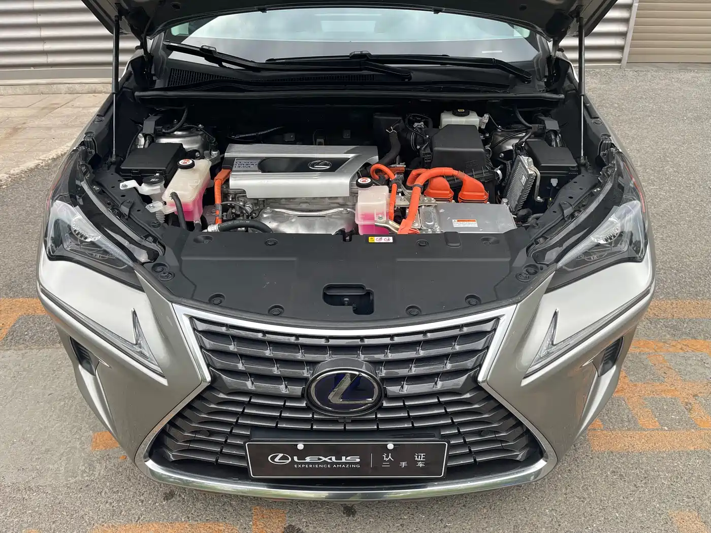 Lexus NX 2020 300h FWD F Sport China VI фото 20