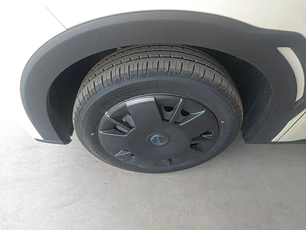 BYD Seagull 2026 2025 Smart Drive Edition 305km Vitality Version