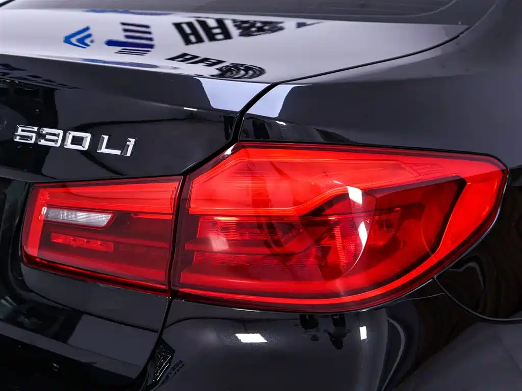 BMW 5 Series 2020 Model 530Li Executive Luxury Package фото 9