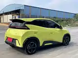 Фото 9 - BYD Seagull