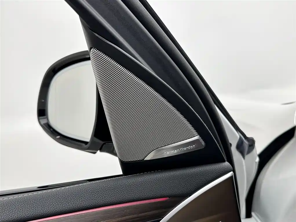 BMW X3 2022 Facelift xDrive30i Leading M Shadow Edition фото 15