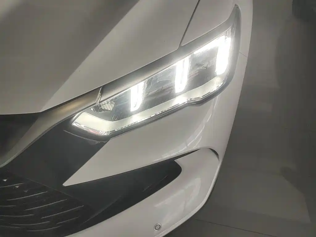 BYD Song Pro New Energy 2024 Glory Edition DM-i 71KM Pilot фото 24