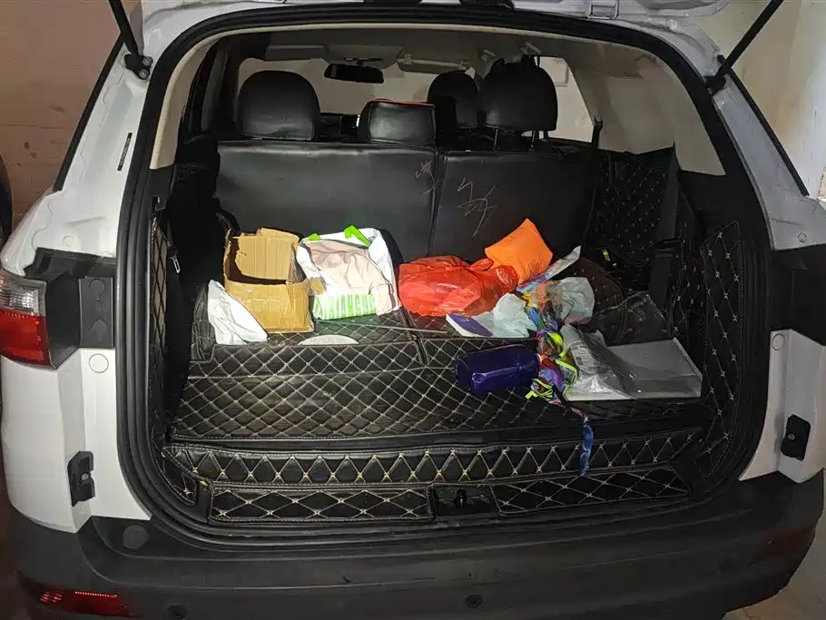 DONGFENG SCENERY S560