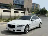 صورة 1 - Jaguar XEL