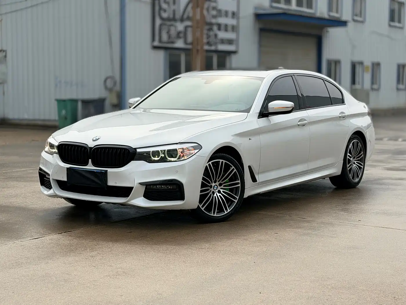 BMW 5 Series 2019 530Li Leading M Sport Package