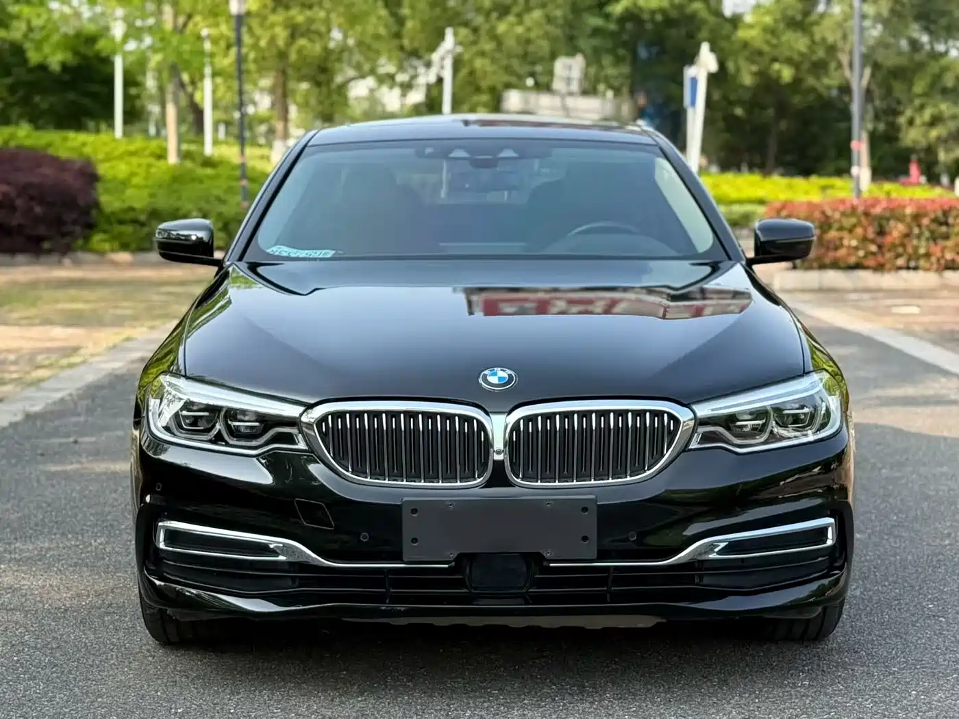BMW 5 Series 2019 530Li Premium Luxury Package фото 2