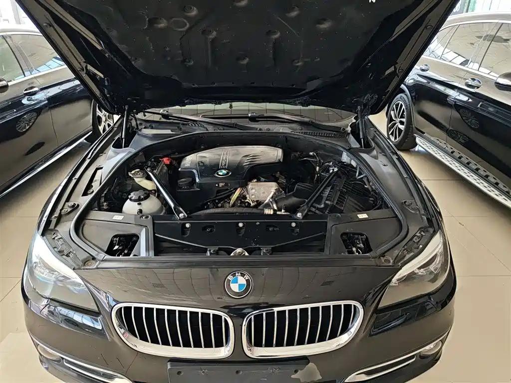 BMW 5 Series 2017 525Li Luxury Design Package фото 16