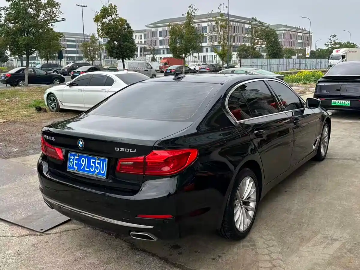 BMW 5 Series 2020 530Li Leading Luxury Package фото 4