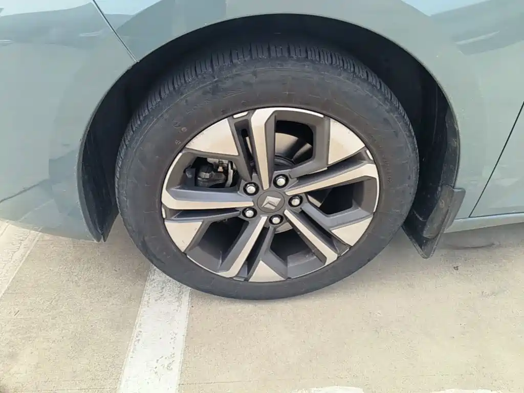 Baojun Valli 2021 2021 1.5T Nagqu Starry Sky CVT Flagship Model