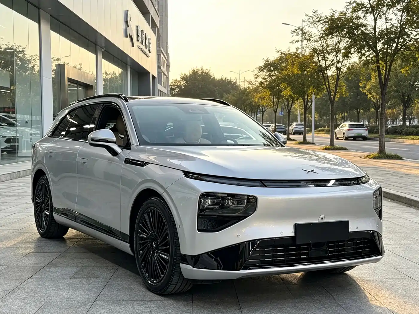 Фото 2 - XPeng G9