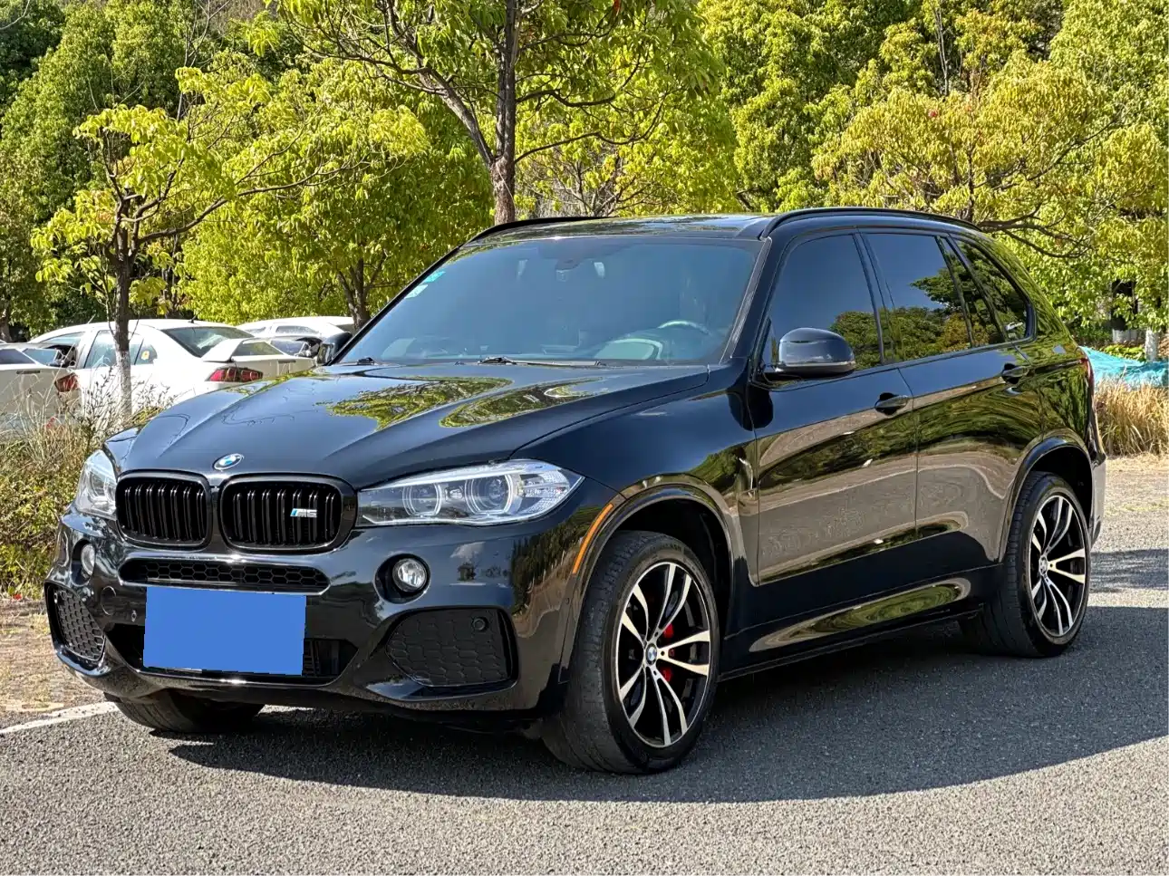 BMW X5 (Import) 2017 xDrive35i Leading Edition