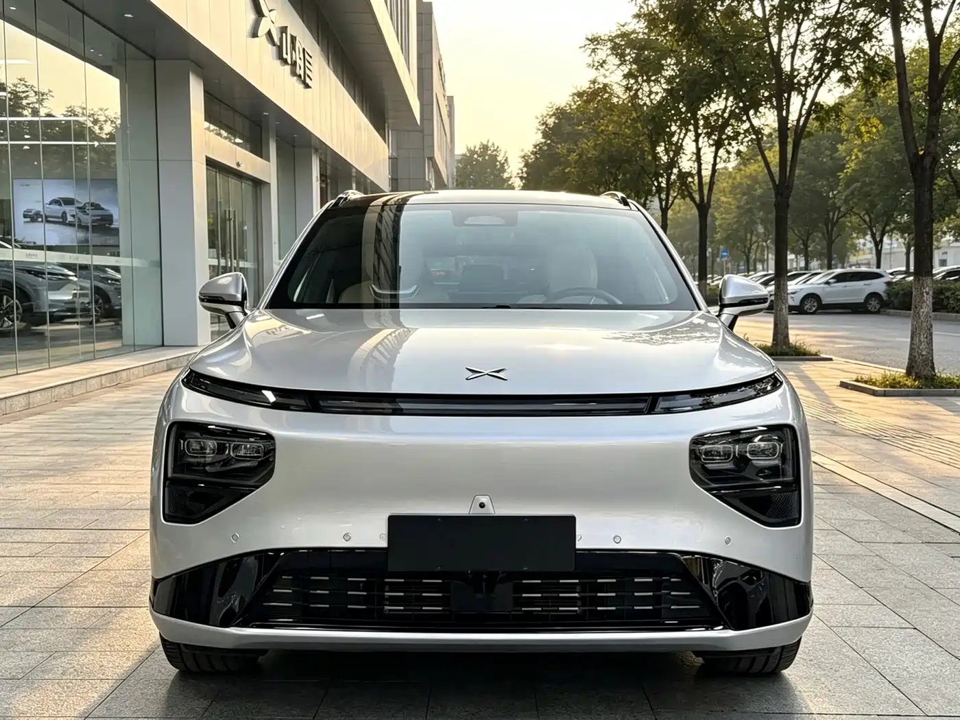 Фото 3 - XPeng G9