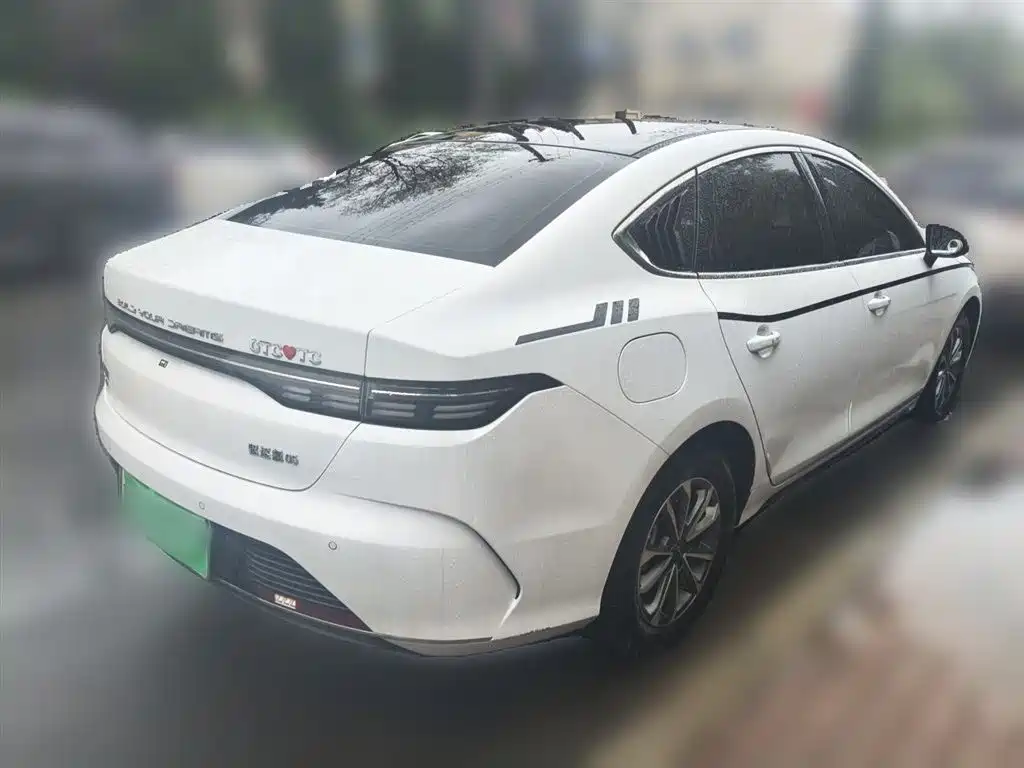 BYD Destroyer 05 2024 Glory Edition DM-i 55KM Luxury фото 5
