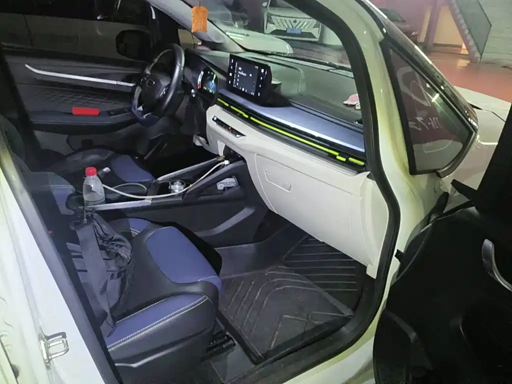 Geely Geometry EX3 Kung Fu Bull 2022 2021 Kung Fu Niu Niu