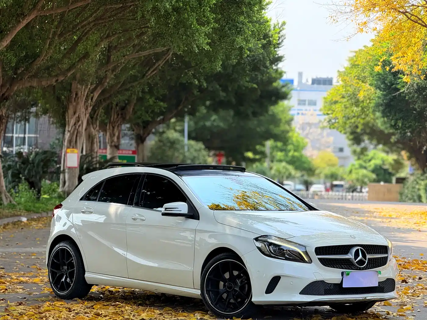 Mercedes-Benz A-Class (Import) 2017 A 200 Fashion Edition фото 3