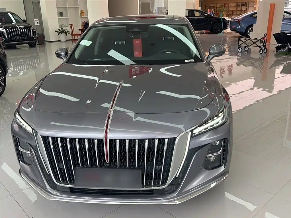 Hongqi H5 2023 2.0T Auto Smart Connect Flag Enjoy фото 4