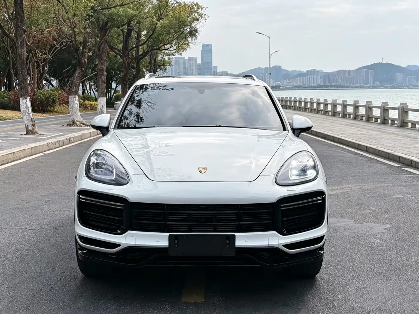 Porsche Cayenne 2011 Cayenne 3.0T фото 2