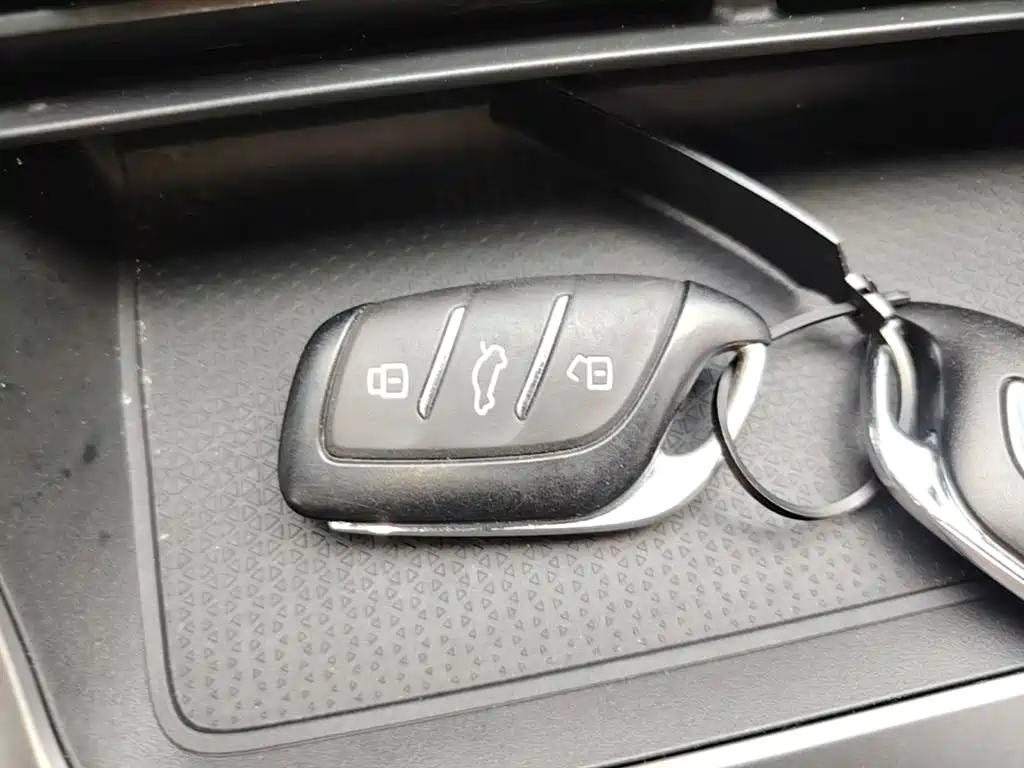 Roewe D5X DMH 2025 2024 135 Luxury Edition