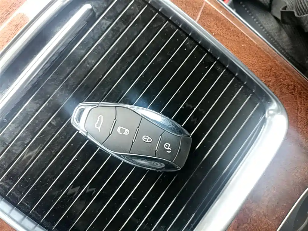 Hongqi HQ9 PHEV 2024 Model 2.0T AWD Luxury Edition фото 9