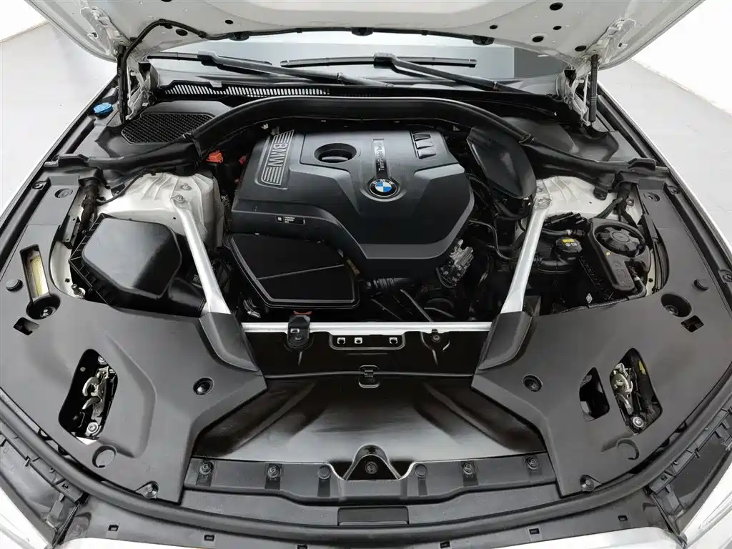 BMW 5 Series 2020 530Li Leading M Sport Package фото 6
